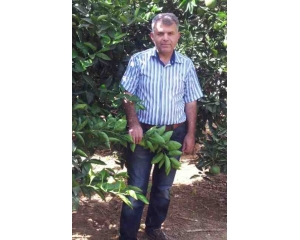 Halil İbrahim Akça