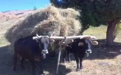 MUHTELİF KÖY MANZARALARI