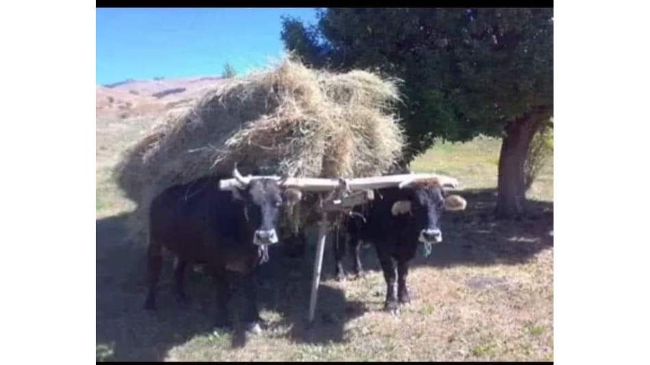 MUHTELİF KÖY MANZARALARI